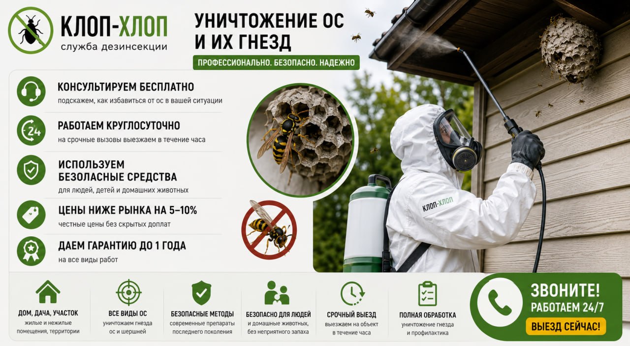 Обращаемся к дезинсекторам против ос